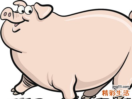 梦见又白又大的肥猪朝自己笑
