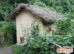 女人梦到自己掉进粪坑