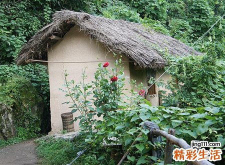 女人梦到自己掉进粪坑
