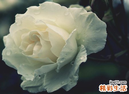 梦见死去的亲人复活是什么意思