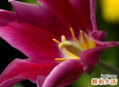 超好听欲仙欲醉的古风昵称，醉人心扉的唯美网名
