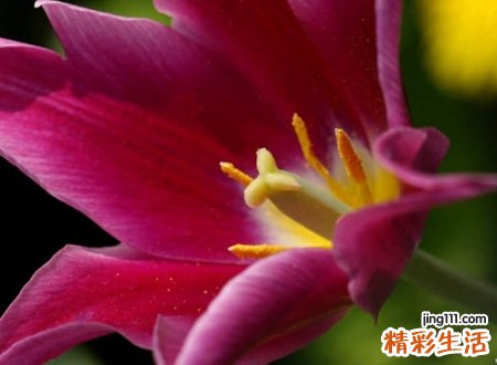 超好听欲仙欲醉的古风昵称，醉人心扉的唯美网名