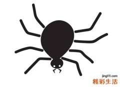 梦见黑蜘蛛化身漂亮的蜘蛛精扑向自己