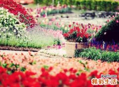 简单有感觉得时尚微信网名