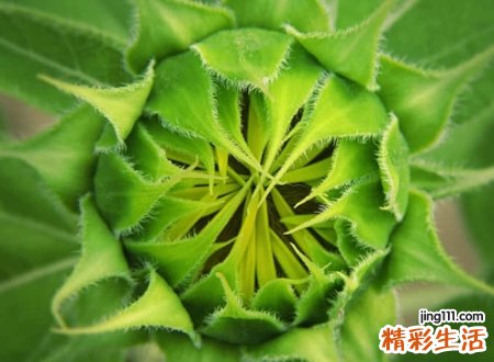 忘不了的忧伤超伤感的微信名字