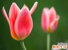 拒绝模糊略显孤独的微信伤感昵称