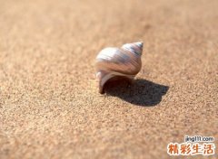 诙谐幽默十足的微信网名