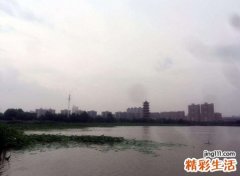 梦见下雨没打伞但是没有被淋湿
