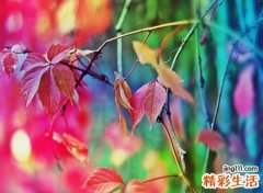 无厘头的小情绪感性网名