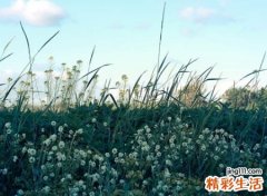单独一个人寂寞的快手网名带符号