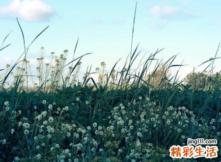 单独一个人寂寞的快手网名带符号