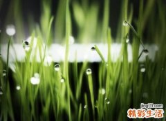 2021伤感让人心酸的微信名字
