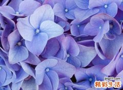 唯美动听的微信个性名字
