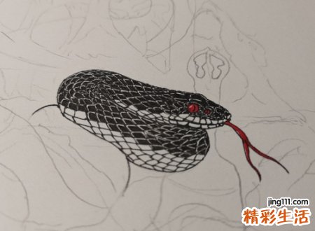 梦见黑色的蛇