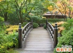 修身养性有深度的简约古风名字，有诗意凄美的微信昵称