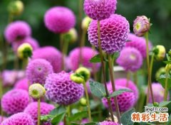受伤了不会心痛的成熟微信网名