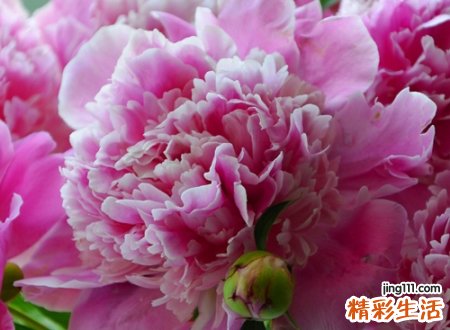 好听又有内涵的励志网名，成熟有深度的高雅微信名字