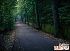 重新开始的微信名字，让心归零看淡一切释然的网名