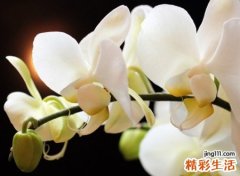 荒唐得令人喷饭的幽默名字，极度颠魔的搞笑个性网名