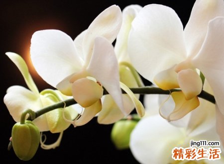 荒唐得令人喷饭的幽默名字，极度颠魔的搞笑个性网名