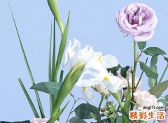 适合妈妈的qq网名