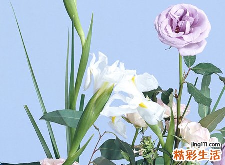 适合妈妈的qq网名