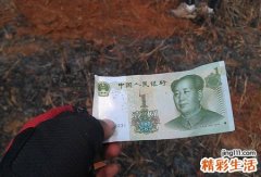 梦到捡钱是什么征兆