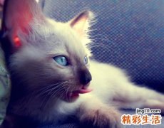 2021最拉风的炫酷游戏名字