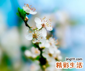 六个字很吸引人的微信名字