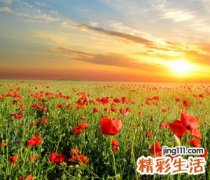 逗趣超诙谐的微信搞笑昵称