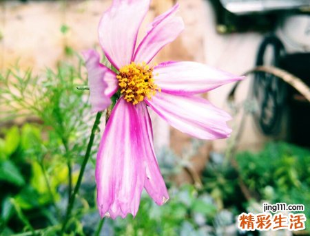 6个字的潮时尚微信昵称