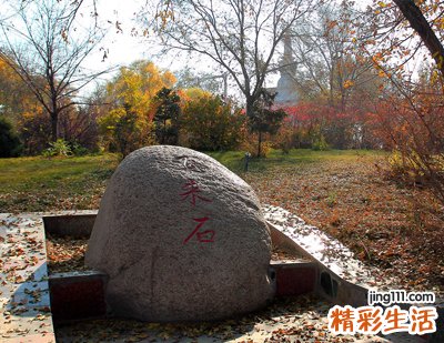 富含诗意的另类超拽游戏名字