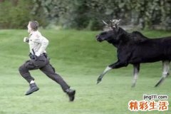 女人梦见被追到处躲藏是什么意思