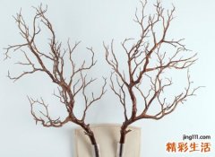 冰封记忆的感情类微信网名