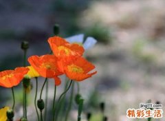时过沧桑有些成熟感的微信名字