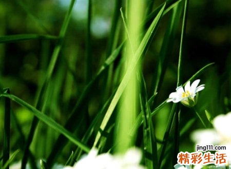 2021寂寞相伴略感忧伤的微信昵称
