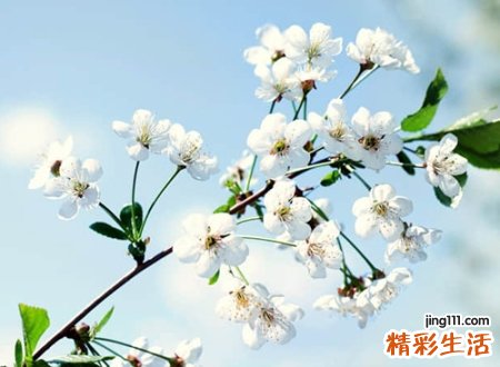 文艺古风风格的微信个性昵称
