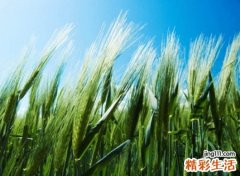 带风字有内涵的网名