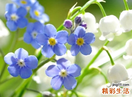 森系小清新的四个字网名