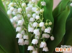 2021独一无二的好听网名