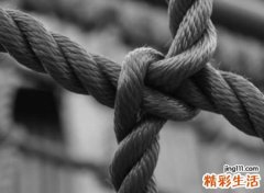 今年最佳游戏好名字推荐