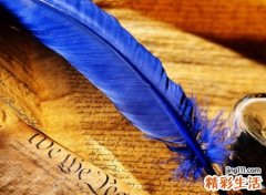 可爱的吃鸡名字