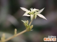 独特有寓意的两字网名