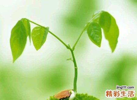 2021最牛逼的网名