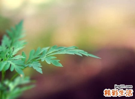 清新脱俗带污污的网名