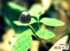 2个字的微信唯美名字