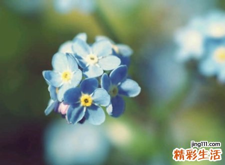 吸引人的网红快手名字大全