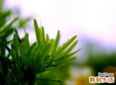 2021最热网名大全