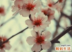 2021独一无二的微信网名