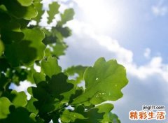 不落伍好听的qq昵称